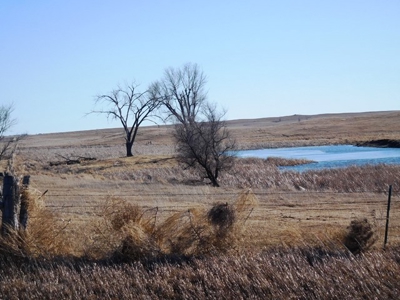 SOLD! $1,925 per acre Land, $330,000 Home, Equip SOLD! - image 22