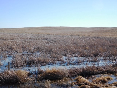 SOLD! $1,925 per acre Land, $330,000 Home, Equip SOLD! - image 23