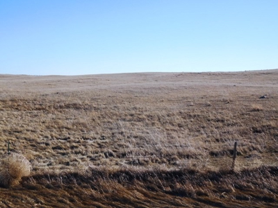 SOLD! $1,925 per acre Land, $330,000 Home, Equip SOLD! - image 24