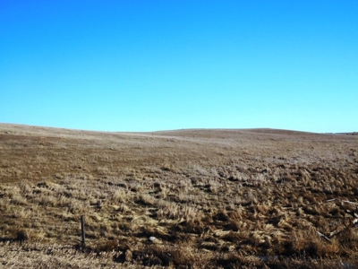SOLD! $1,925 per acre Land, $330,000 Home, Equip SOLD! - image 27