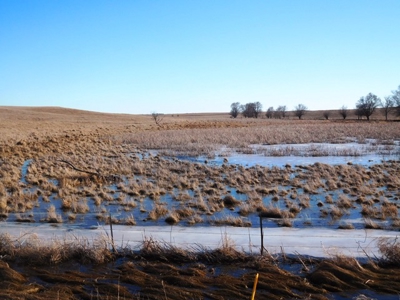 SOLD! $1,925 per acre Land, $330,000 Home, Equip SOLD! - image 31