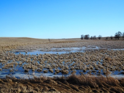 SOLD! $1,925 per acre Land, $330,000 Home, Equip SOLD! - image 33