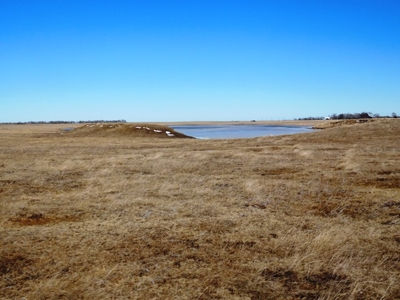 SOLD 1350 per acre,   634 Acre Grassland Auction in SD - image 2