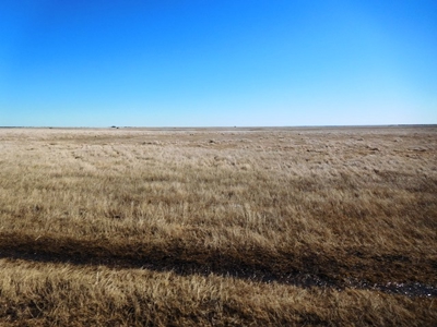 SOLD 1350 per acre,   634 Acre Grassland Auction in SD - image 4