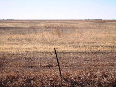 SOLD 1350 per acre,   634 Acre Grassland Auction in SD - image 5