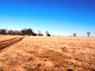 SOLD 1350 per acre,   634 Acre Grassland Auction in SD - image 6