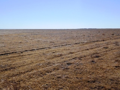 SOLD 1350 per acre,   634 Acre Grassland Auction in SD - image 7