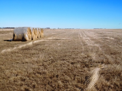 SOLD 1350 per acre,   634 Acre Grassland Auction in SD - image 9