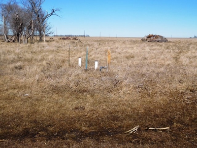 SOLD 1350 per acre,   634 Acre Grassland Auction in SD - image 11