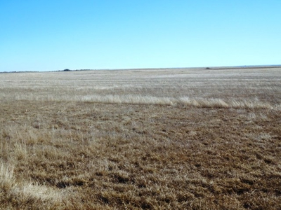 SOLD 1350 per acre,   634 Acre Grassland Auction in SD - image 12