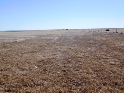 SOLD 1350 per acre,   634 Acre Grassland Auction in SD - image 14