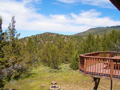 Mountain Home for Sale located between Alturas & Cedarville,