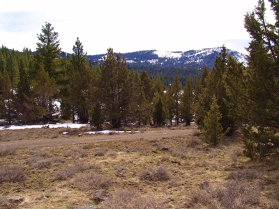 Mountain Home for Sale located between Alturas & Cedarville, - image 49