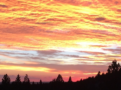 Mountain Home for Sale located between Alturas & Cedarville, - image 12