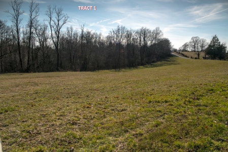 3 Acre Tract for Auction in Franklin County VA! - image 2