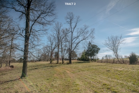 20 Acres of Land For Auction in Union Hall VA! - image 3