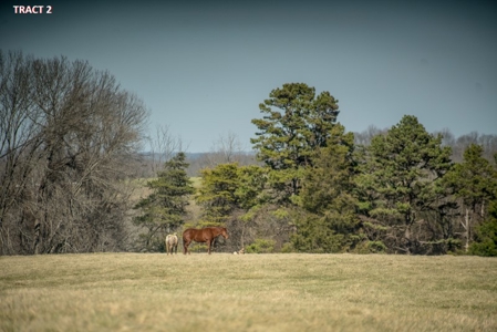 20 Acres of Land For Auction in Union Hall VA! - image 4