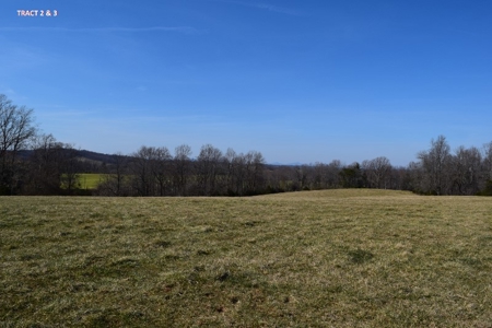 20 Acres of Land For Auction in Union Hall VA! - image 5