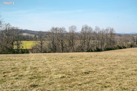 20 Acres of Land For Auction in Union Hall VA! - image 6