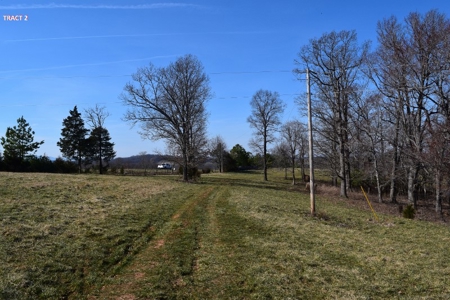 20 Acres of Land For Auction in Union Hall VA! - image 7