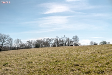 20 Acres of Land For Auction in Union Hall VA! - image 9
