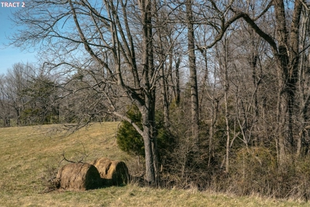 20 Acres of Land For Auction in Union Hall VA! - image 11