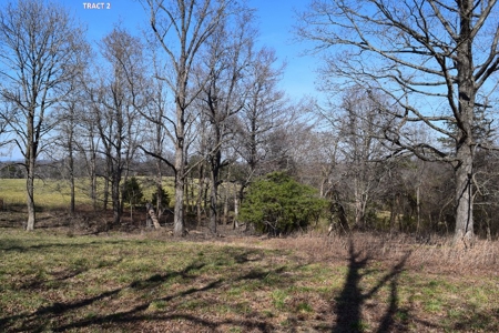 20 Acres of Land For Auction in Union Hall VA! - image 13