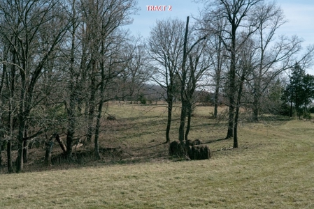 20 Acres of Land For Auction in Union Hall VA! - image 14