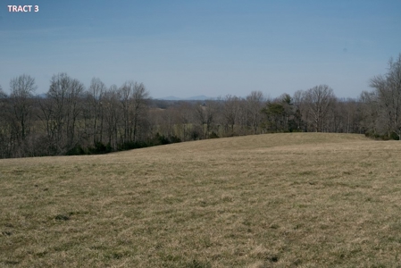 20 Acres of Land for Auction in Franklin County VA! - image 1
