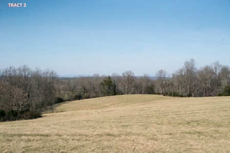 20 Acres of Land for Auction in Franklin County VA! - image 2