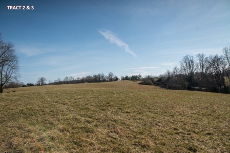 20 Acres of Land for Auction in Franklin County VA! - image 4