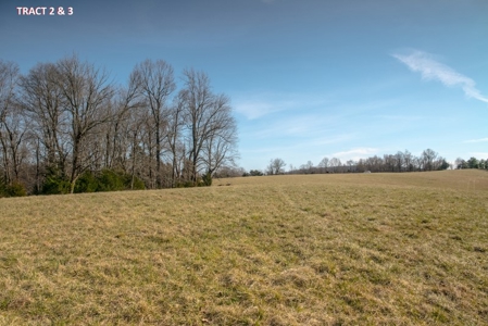 20 Acres of Land for Auction in Franklin County VA! - image 5