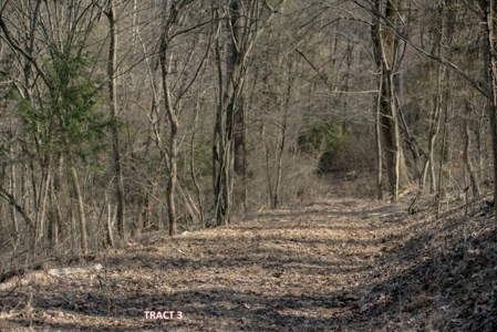20 Acres of Land for Auction in Franklin County VA! - image 6