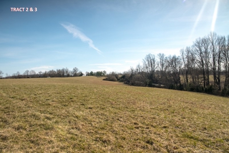 20 Acres of Land for Auction in Franklin County VA! - image 7