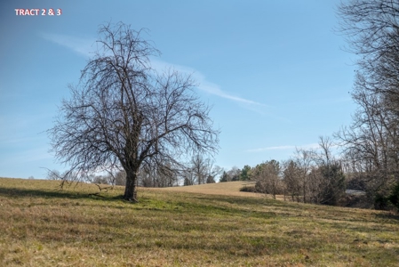 20 Acres of Land for Auction in Franklin County VA! - image 10