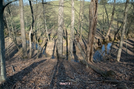 20 Acres of Land for Auction in Franklin County VA! - image 11