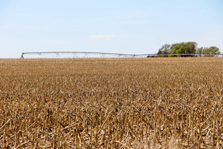 Tract #1 - Irrigated Land Auction in Finney County Kansas - image 4
