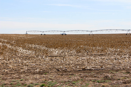 Tract #1 - Irrigated Land Auction in Finney County Kansas - image 5