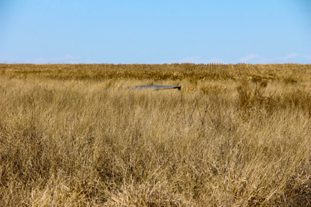 Tract #1 - Irrigated Land Auction in Finney County Kansas - image 6