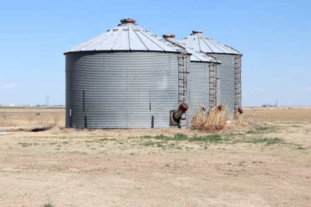 Tract #1 - Irrigated Land Auction in Finney County Kansas - image 7