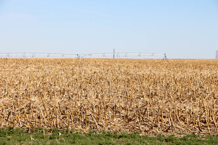 Tract #1 - Irrigated Land Auction in Finney County Kansas - image 8