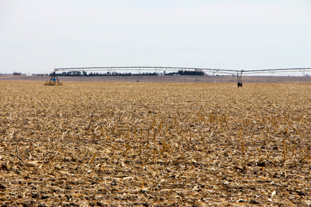 Tract #2 - Irrigated Land Auction in Finney County Kansas - image 1