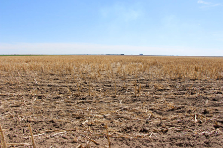 Tract #2 - Irrigated Land Auction in Finney County Kansas - image 2