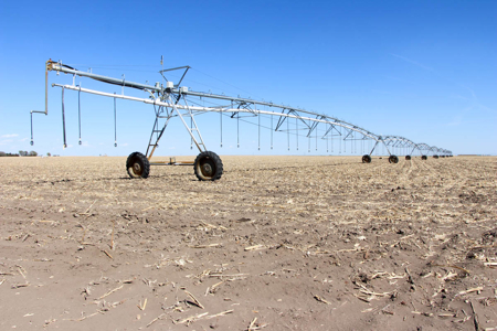 Tract #2 - Irrigated Land Auction in Finney County Kansas - image 4