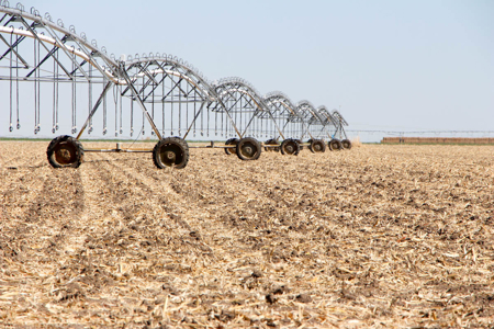 Tract #2 - Irrigated Land Auction in Finney County Kansas - image 5