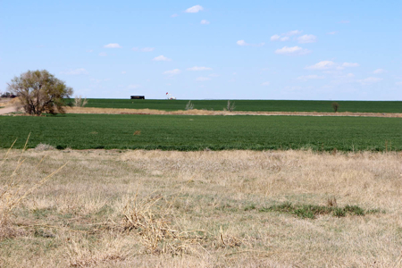 Tract #3 - Irrigated Land Auction in Finney County Kansas - image 3