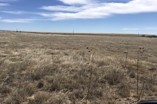 1192 Dinkle Rd 10 Ac Stanley Nm
