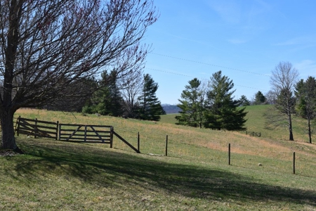 Country Home and Acreage for Sale in Floyd VA! - image 2