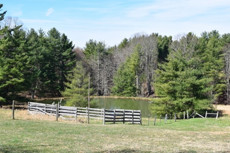 Country Home and Acreage for Sale in Floyd VA! - image 3