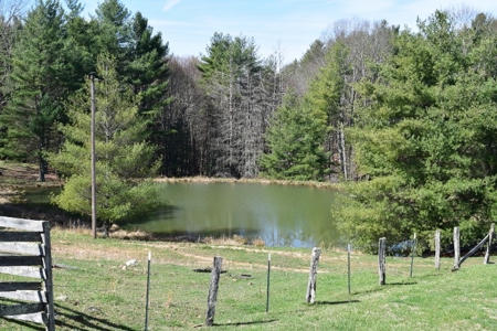 Country Home and Acreage for Sale in Floyd VA! - image 4